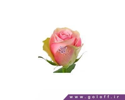 product 2286 mothers day flower basket 7